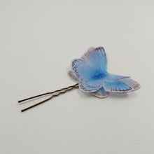 Charger l&#39;image dans la galerie, Pic papillon bleu

