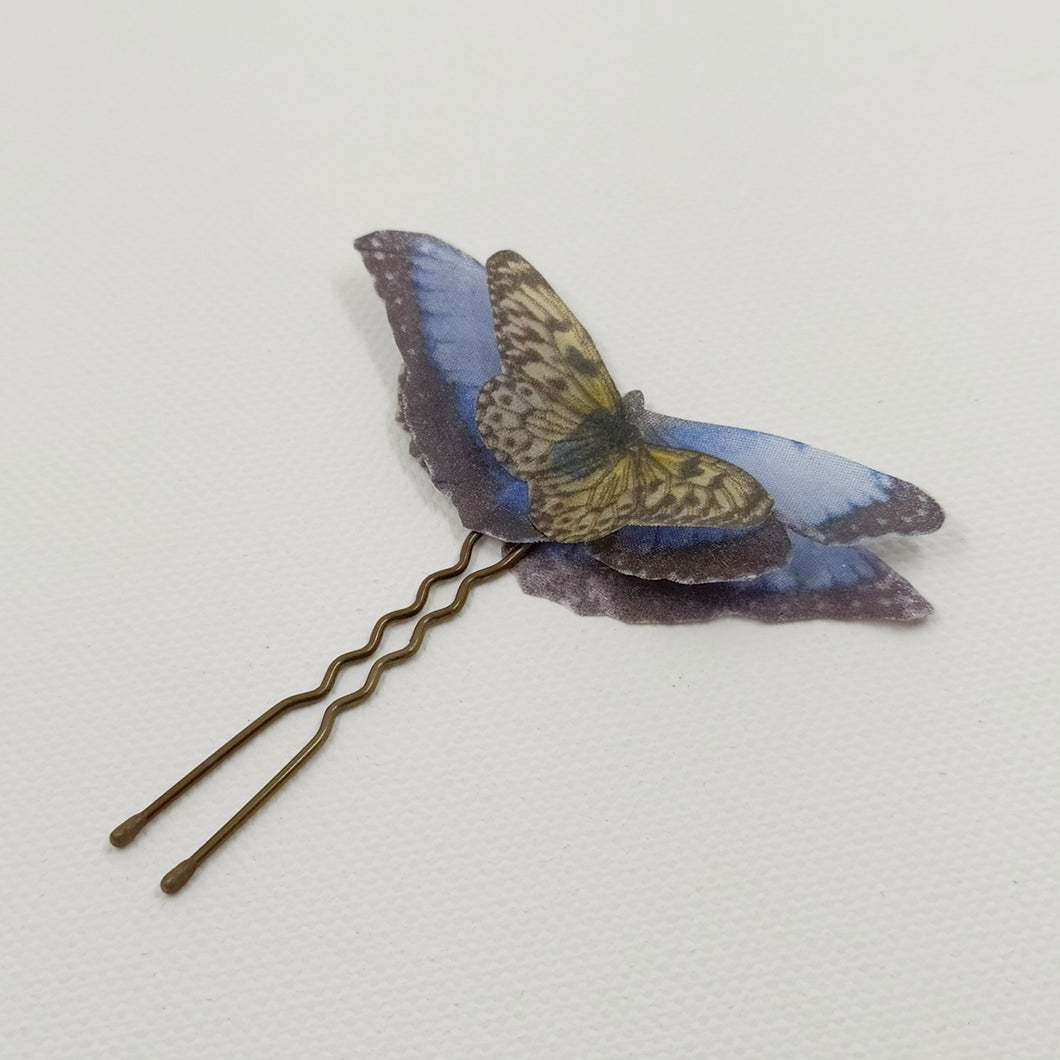 Pic papillon bleu marine